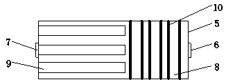 Filter and disinfection device for cultural water body