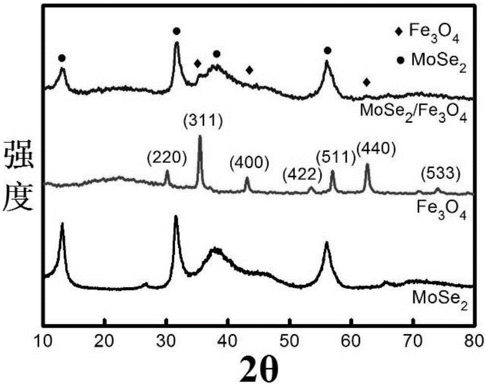 Molybdenum diselenide/ferroferric oxide magnetic nano composite material, and preparation method and application thereof.