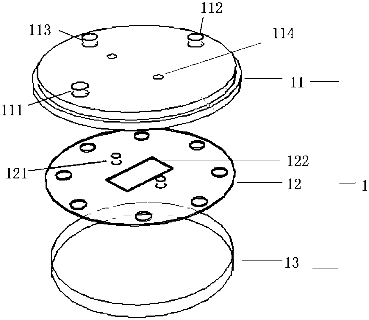 Experimental device and method for simulating in-vivo hydrodynamic environment