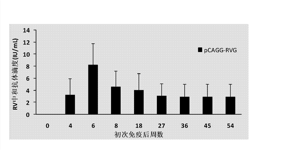 Building and application of hydrophobia DNA (deoxyribonucleic acid) vaccine