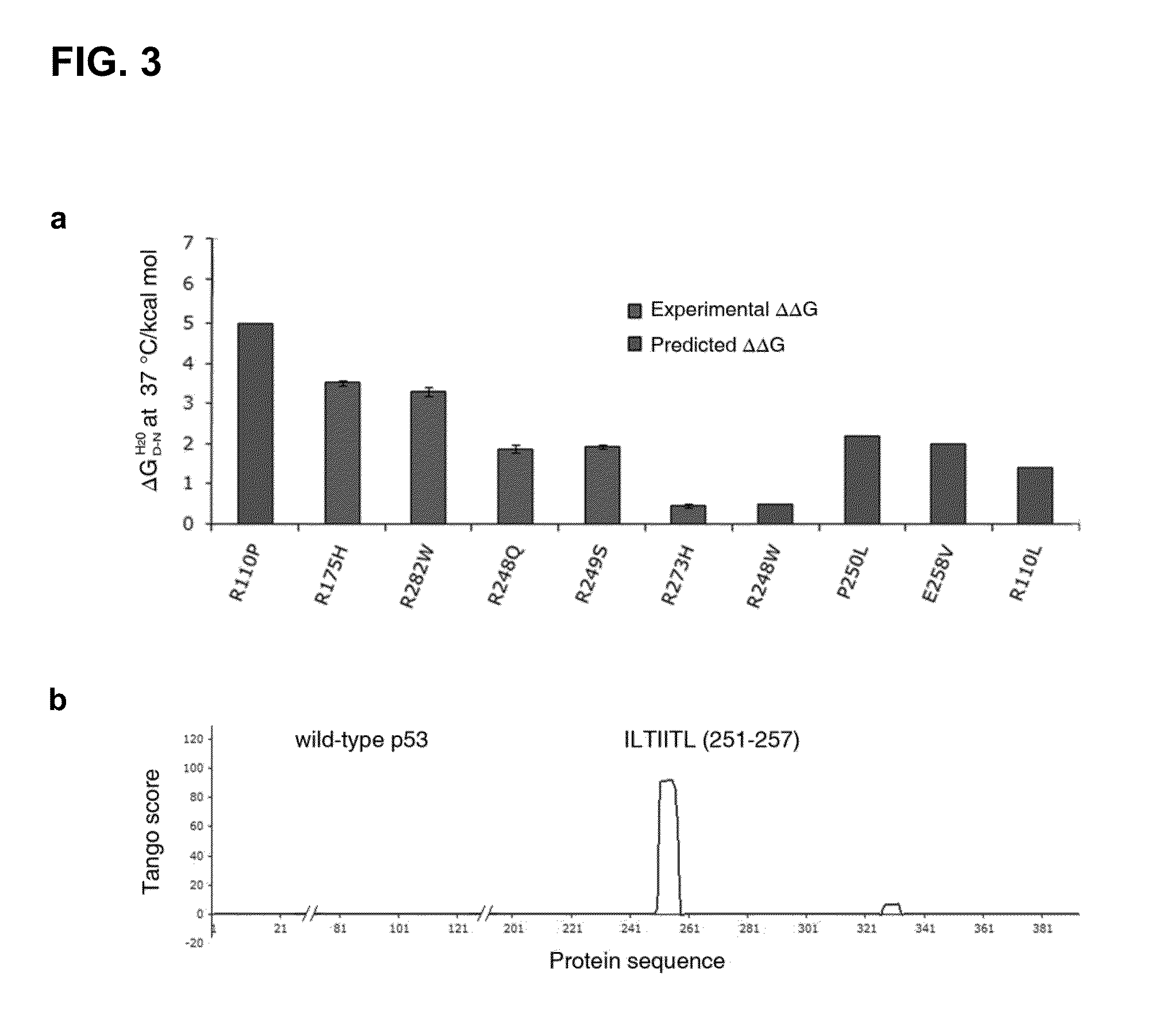 Methods for screening inhibitors of tumor associated protein aggregation