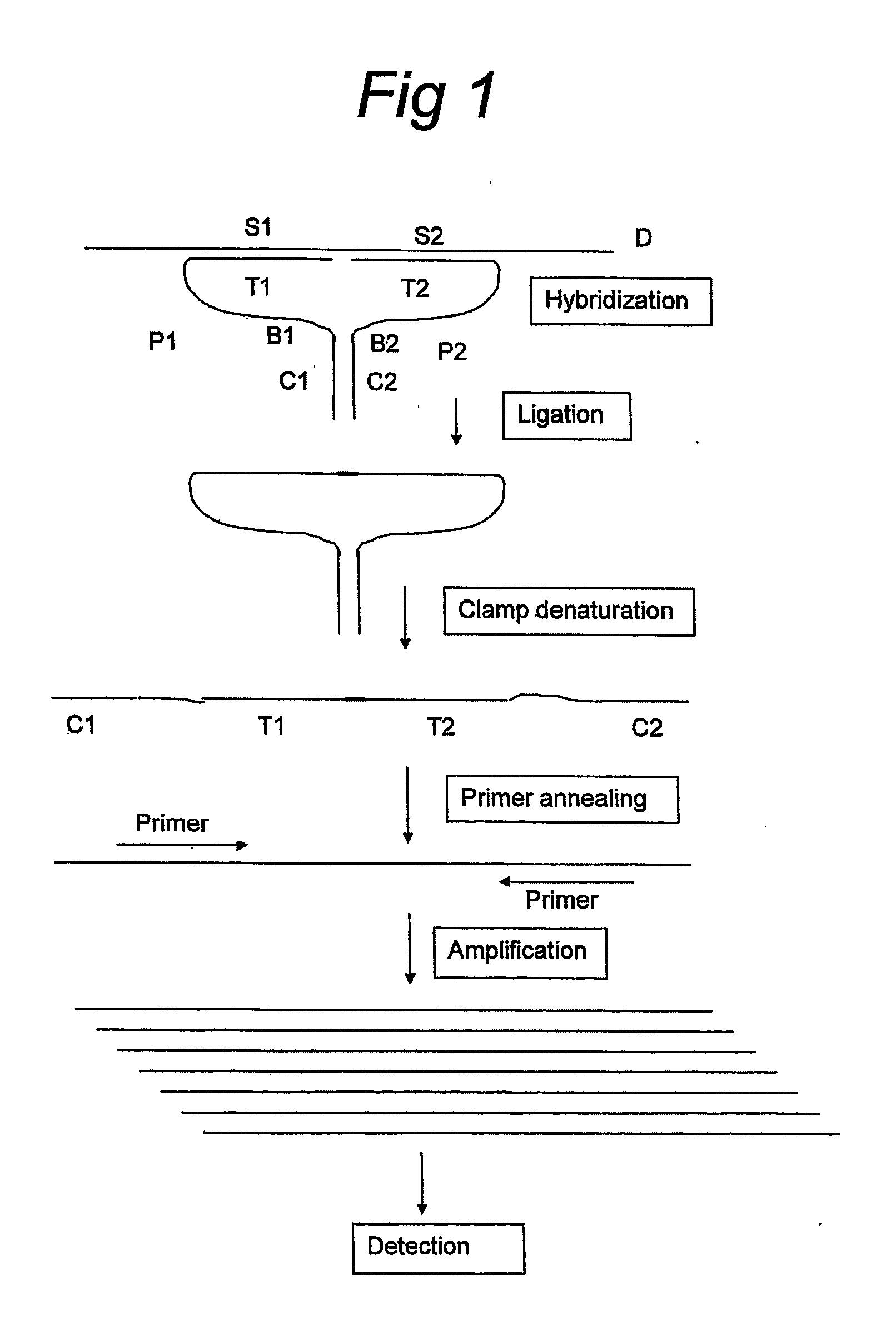 Means and Method for the Detection of Target Nucleotide Sequences Using Ligation Assays With Improved Oligonucleotide Probe Pairs