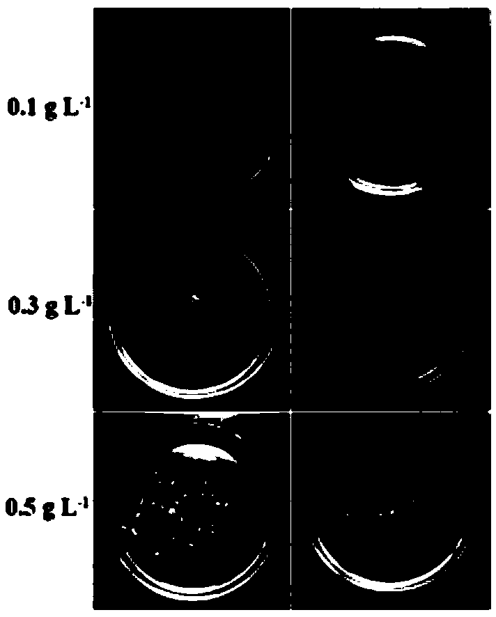 A method to optimize the cryopreservation effect of vitrification of Arabidopsis seedlings