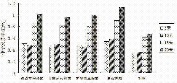 Composite bacterial preparation as well as preparation method and application thereof