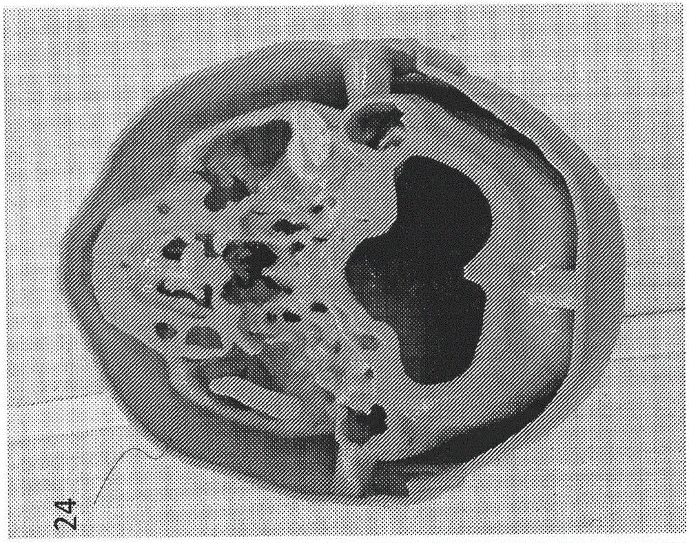 System and method for patient-specific radiotherapy treatment verification and quality assurance