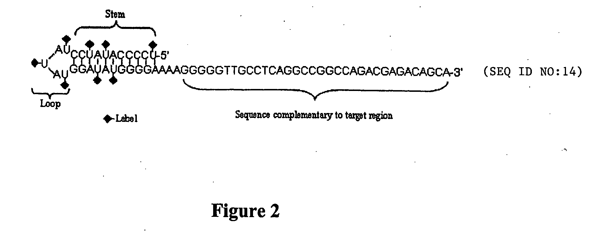 Hairpin-labeled probes and methods of use