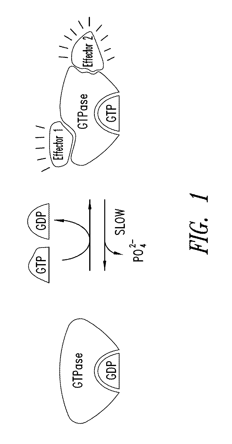 Substituted quinazolines as inhibitors of KRAS G12C