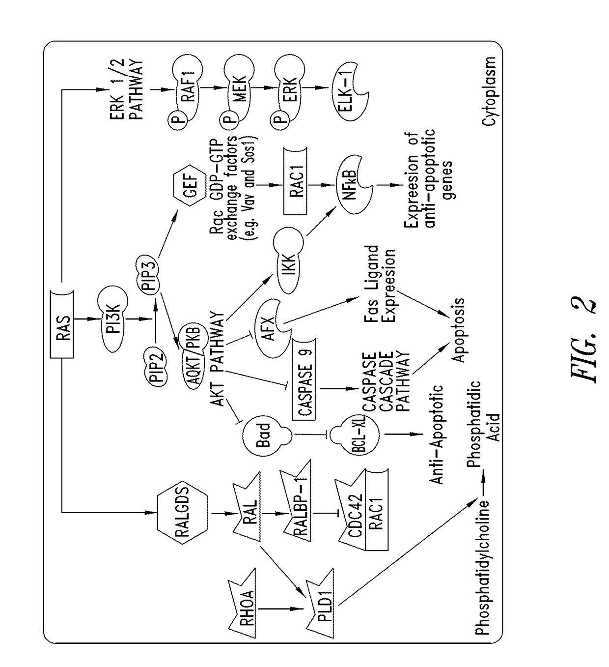 Substituted quinazolines as inhibitors of KRAS G12C