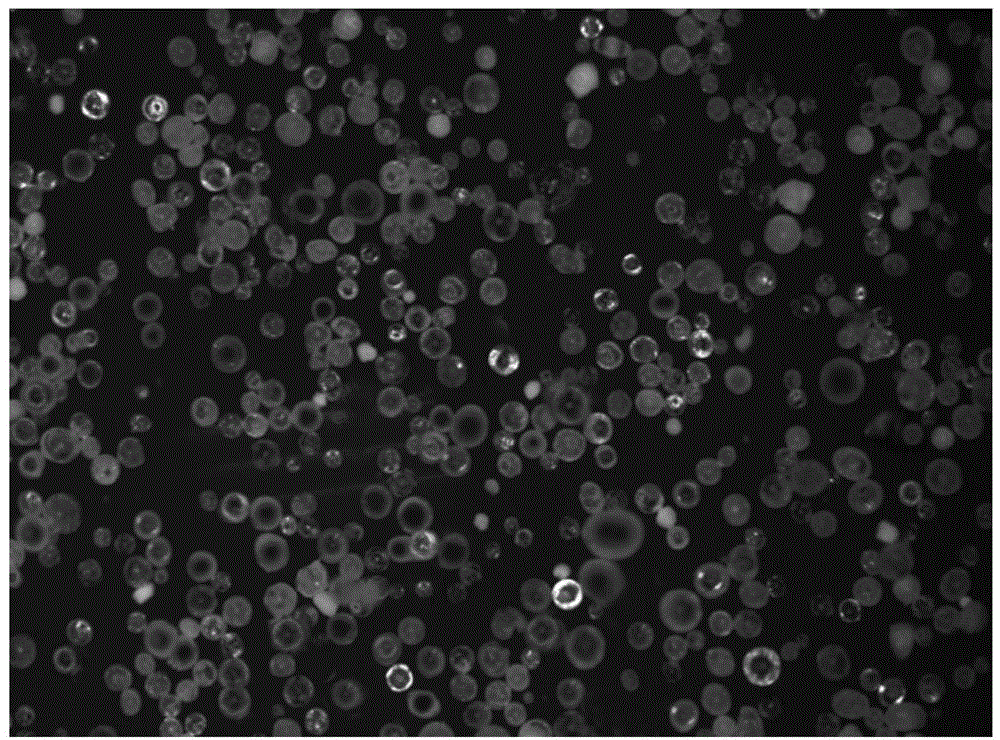 Preparation method of low-cost hollow spherical YSZ powder for plasma spraying