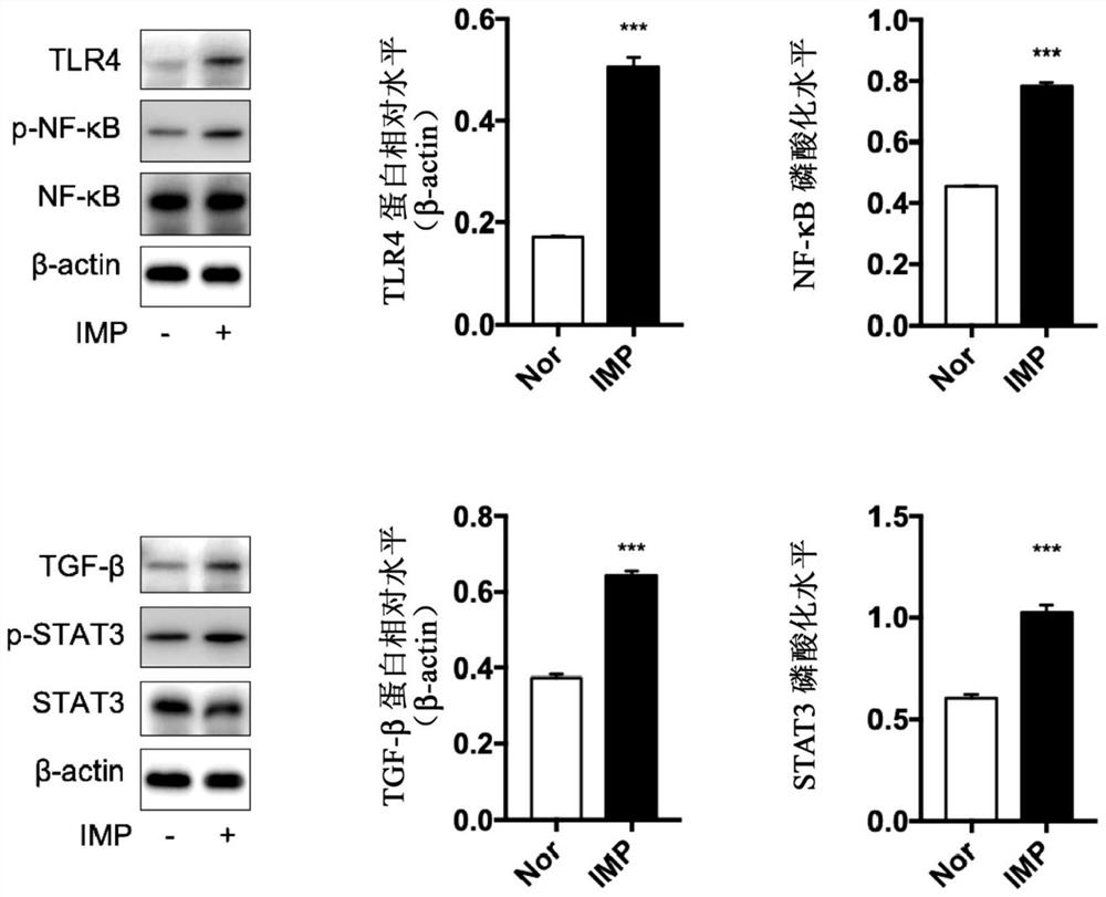 Application of imidazole propionic acid as biomarker for predicting diabetic nephropathy and detection kit