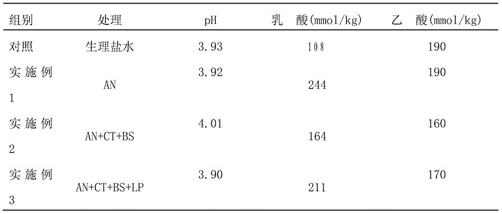 Method for preparing sugarcane tail silage by aspergillus niger, candida tropicalis, bacillus subtilis and lactobacillus plantarum