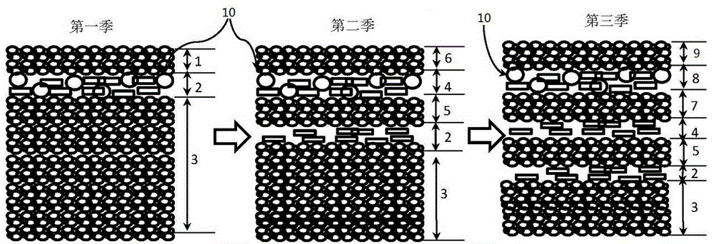 Double-cropping rice based ecological ditch direct-seeding cultivation method for triple-cropping late rice