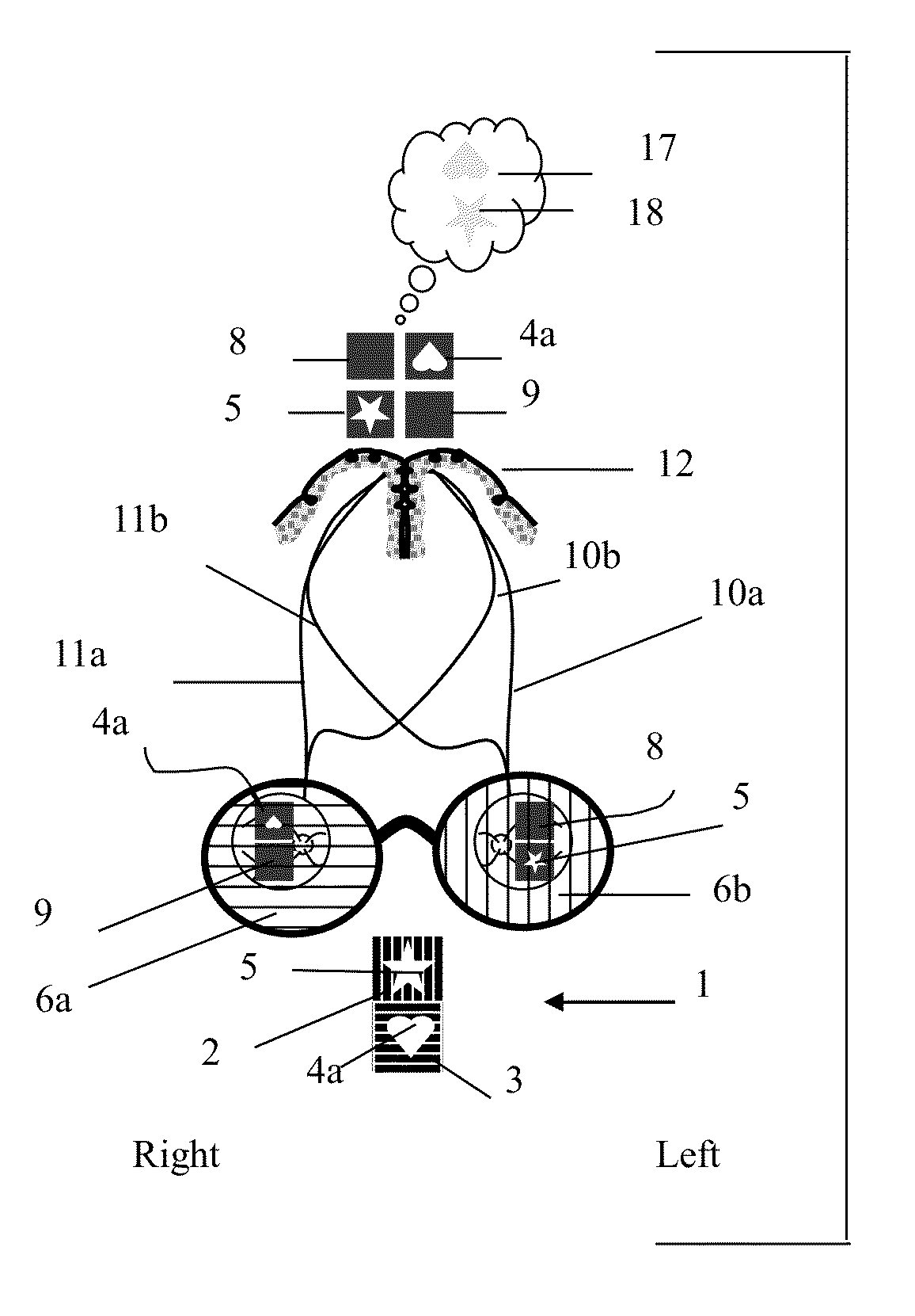 Amblyometer for balancing bridging rivalrous binocular vision