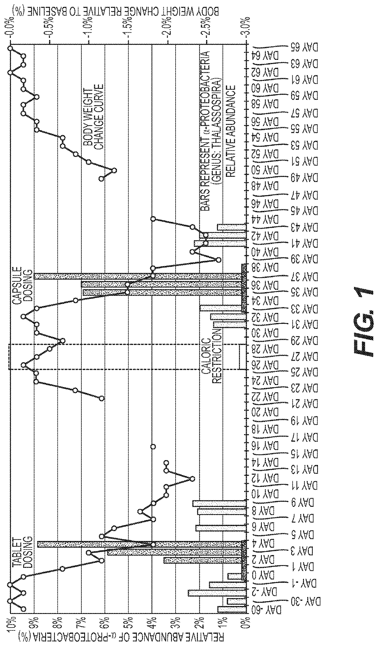 Methods and compositions to modulate the gut microbiota and to manage weight