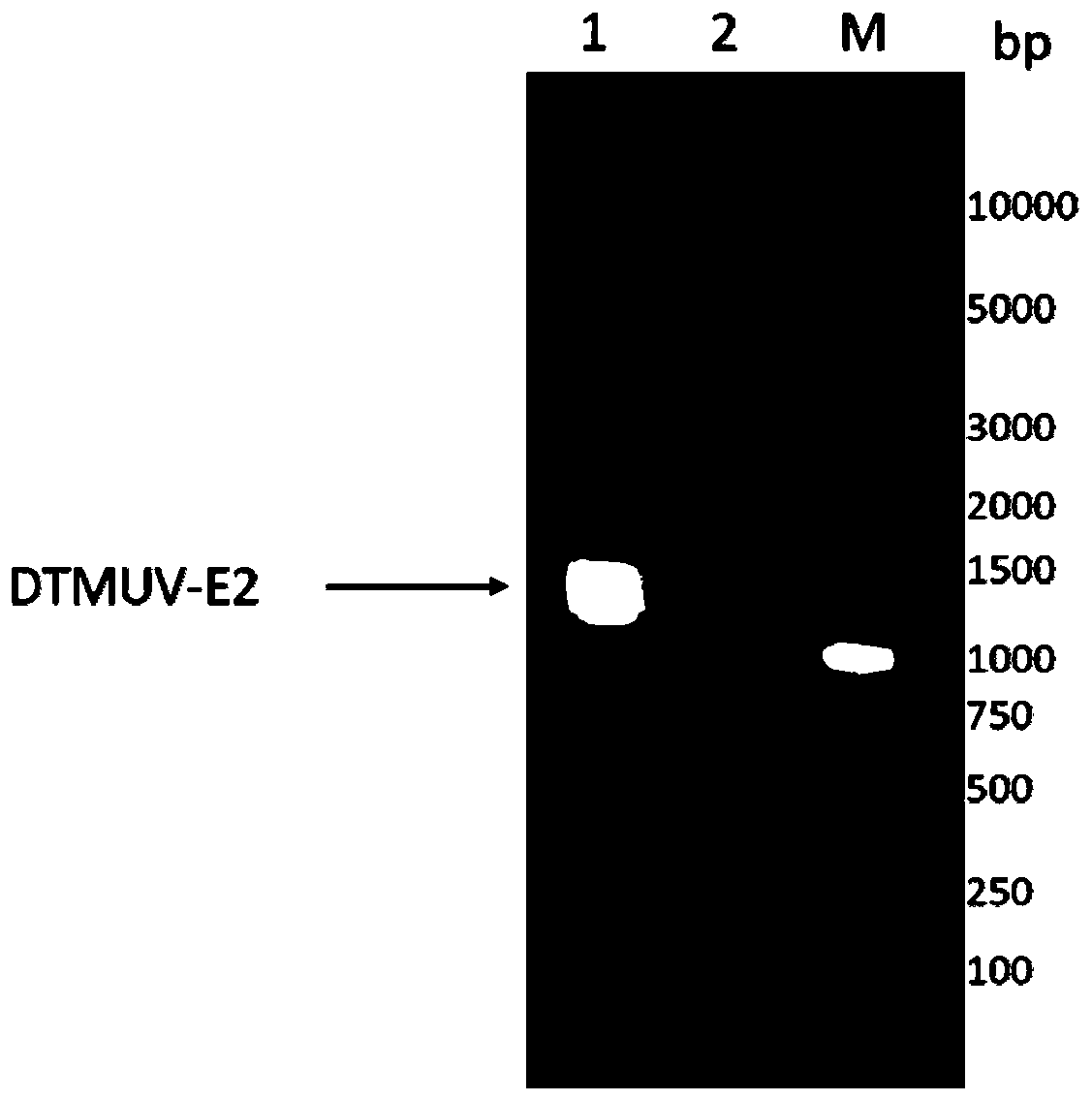 Duck Tembusu virus genetically engineered subunit vaccine and its preparation method and application