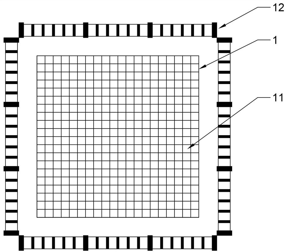 Dry land soil animal numeral field and construction method thereof