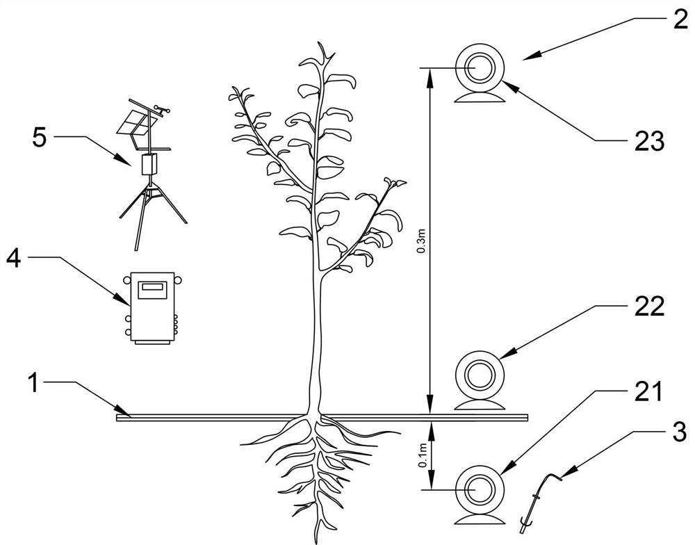 Dry land soil animal numeral field and construction method thereof