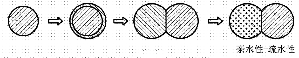 Emulsion cosmetic composition containing ceramide and method for preparing same