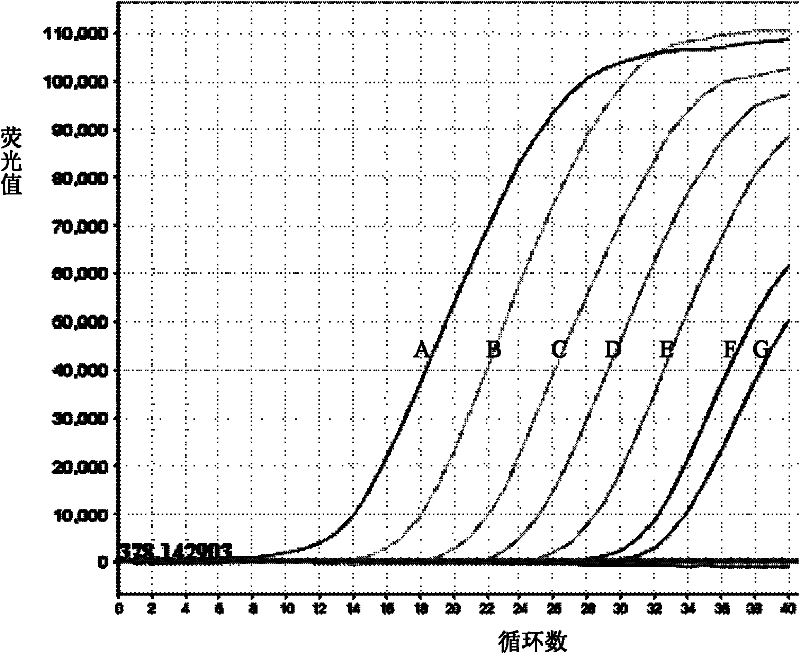 Fluorescent quantitative rt-pcr detection kit for detecting bovine viral diarrhea virus and its application