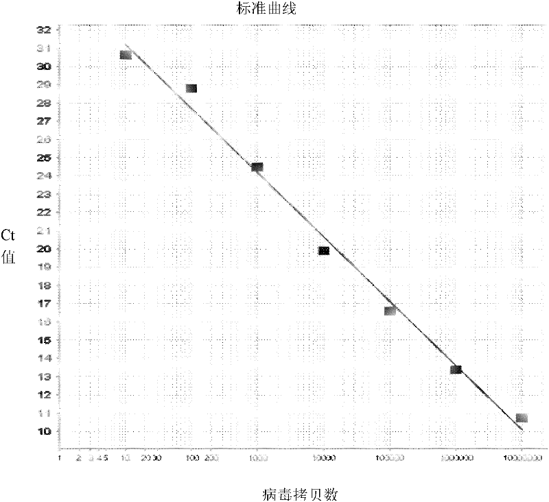 Fluorescent quantitative rt-pcr detection kit for detecting bovine viral diarrhea virus and its application