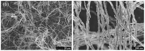 Preparation method of absorption type flexible transparent electromagnetic shielding film and product