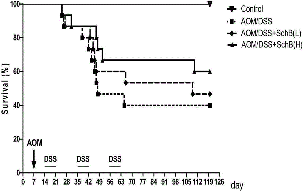 Application of schisandrin B in preparation of drugs used for preventing colitis or colorectal carcinomas