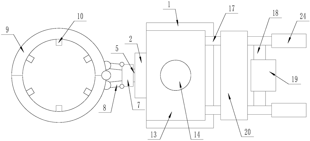 Municipal tree paint spraying device