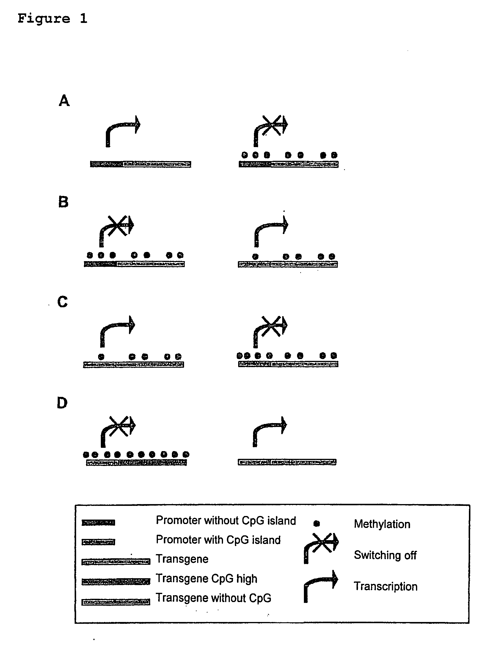 Method for modulating gene expression by modifying the cpg content