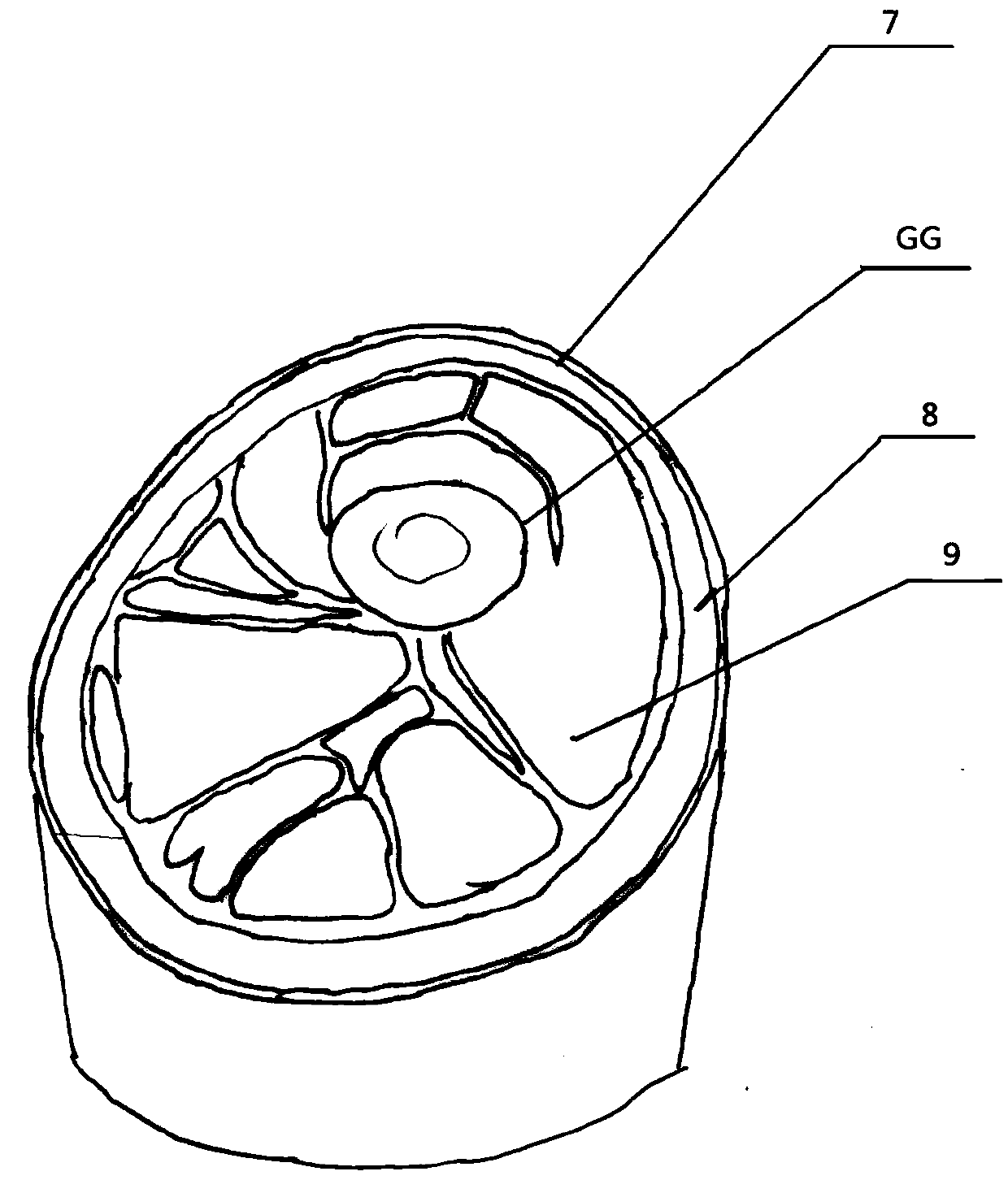 Standard patient for examination on spinal and limb fracture emergency fixation and carrying training