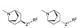 8-azabicyclo[3.2.1]octane-8-carboxamide derivative