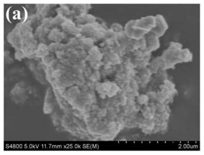 Hydrothermally synthesized Ni-doped CdS composite photocatalyst as well as preparation method and application thereof