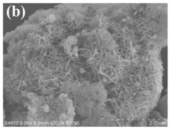 Hydrothermally synthesized Ni-doped CdS composite photocatalyst as well as preparation method and application thereof