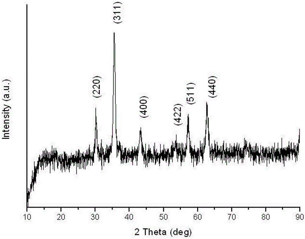 Preparation method and application of Fe3O4@CA-beta-CD nano microspheres