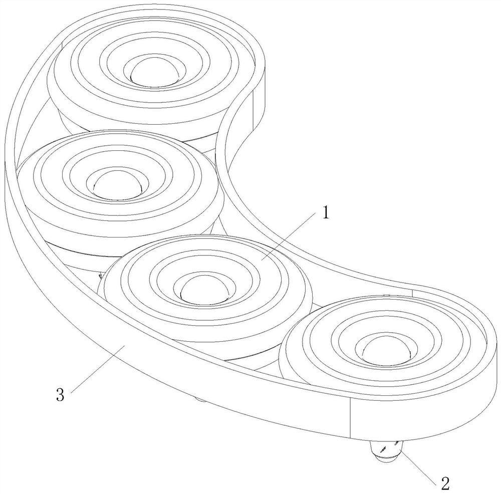 Biological fertilizer and preparation method thereof