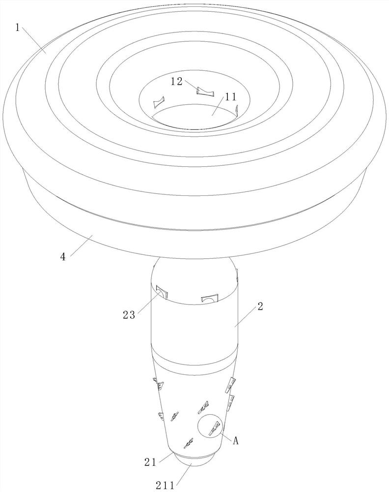 Biological fertilizer and preparation method thereof