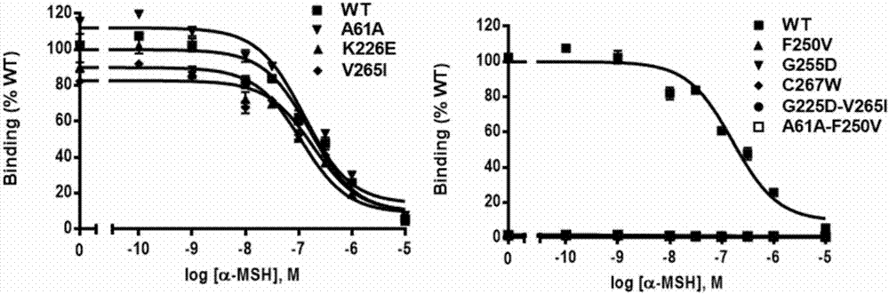 Three goat MC1R deficient mutants and application thereof