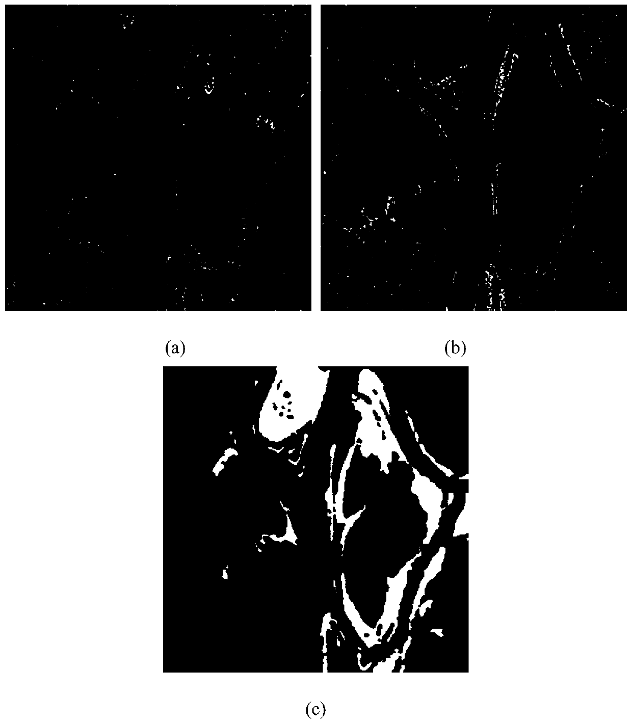 SAR image change detection method based on FPGA