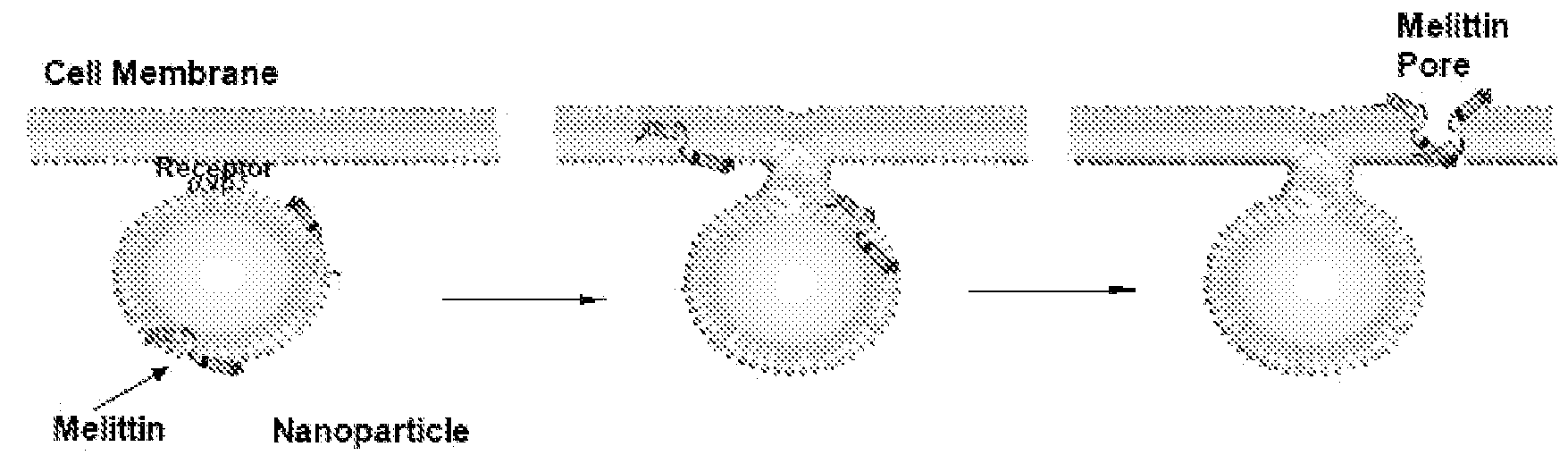 Nanoparticle delivery systems for membrane-integrating peptides