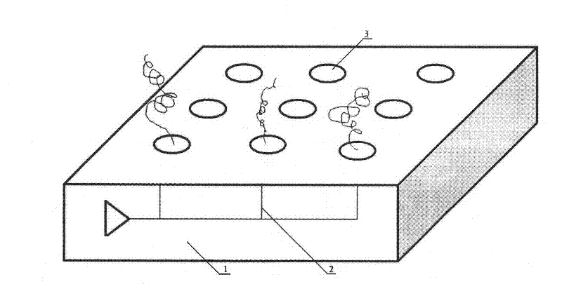 Conductive polyaniline with bioactivity, preparation thereof and use thereof