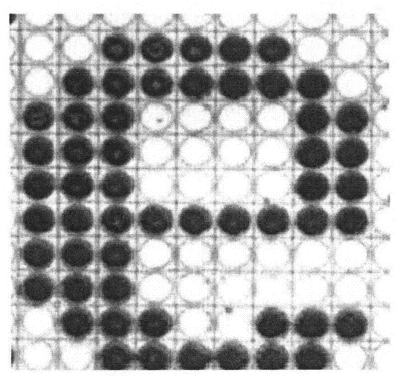 Conductive polyaniline with bioactivity, preparation thereof and use thereof