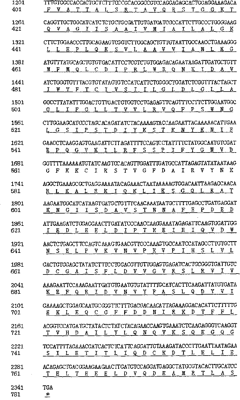 Reagent kit for detecting 334C&gt;T mutation of large vestibular aqueduct related gene SLC26A4