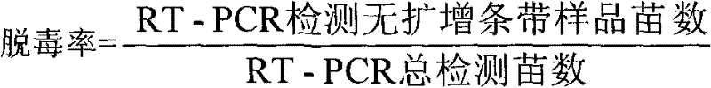 Method for lily virus-free cultivation through using moroxydine drug