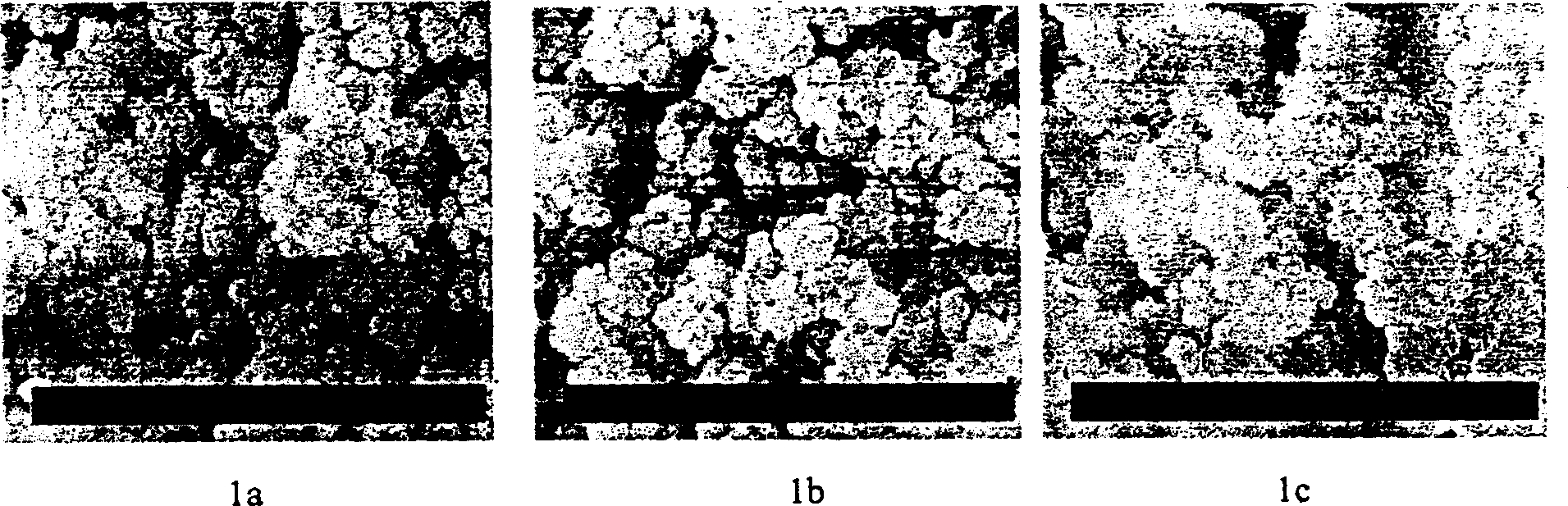 Method for preparing octyl group micro column liquid phase chromatograph integrate column