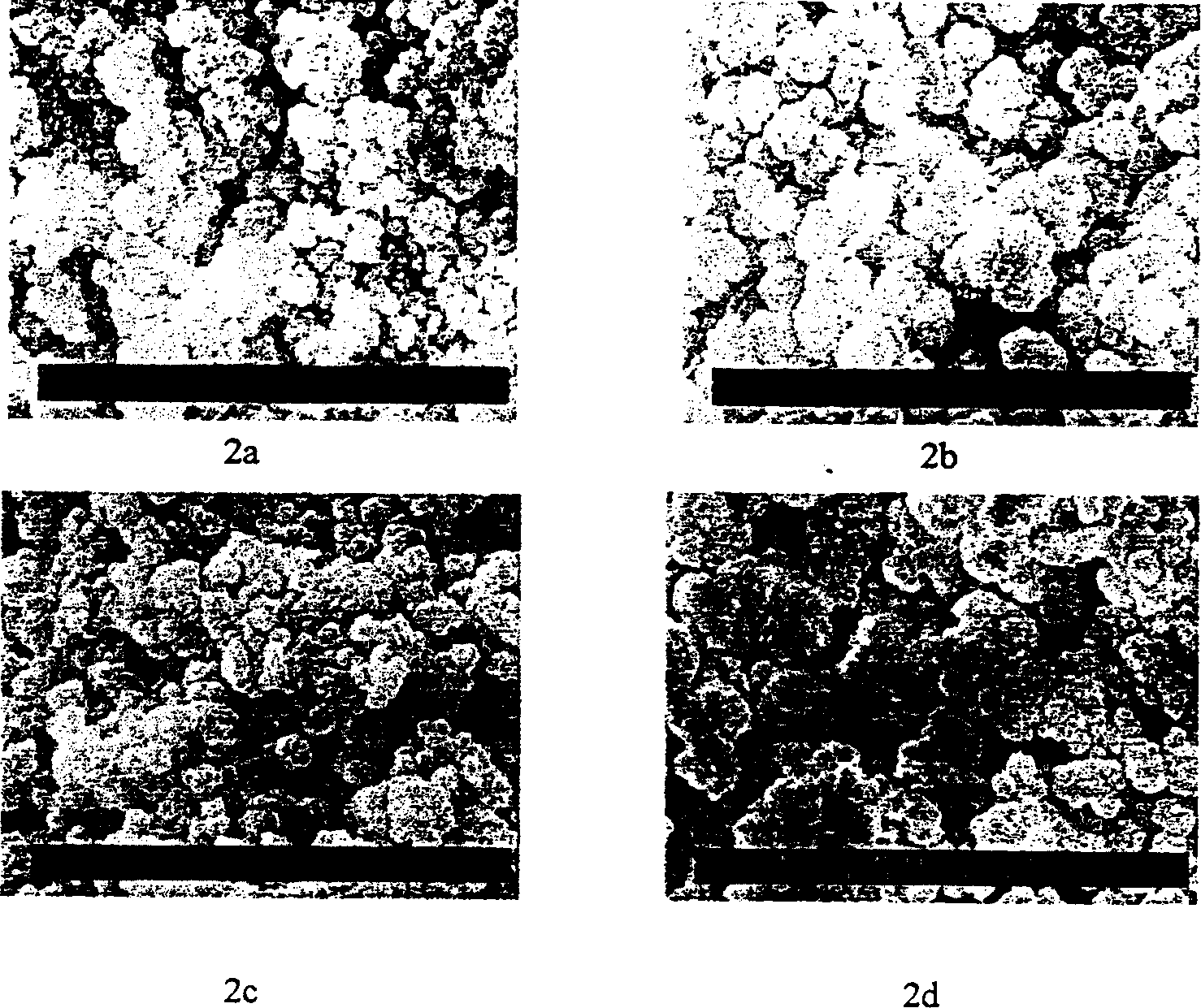 Method for preparing octyl group micro column liquid phase chromatograph integrate column