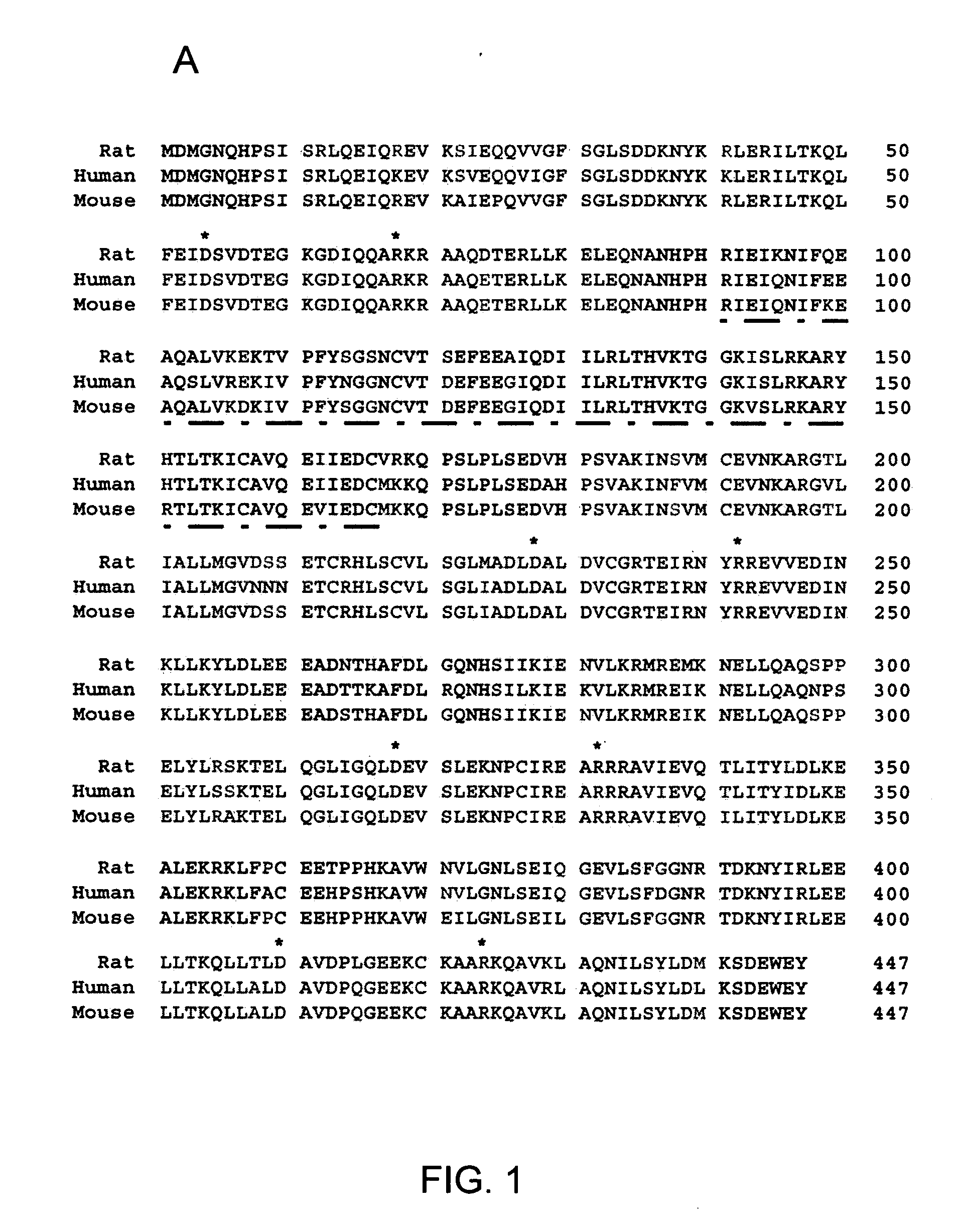 Compositions and methods to inhibit cell loss by using inhibitors of BAG