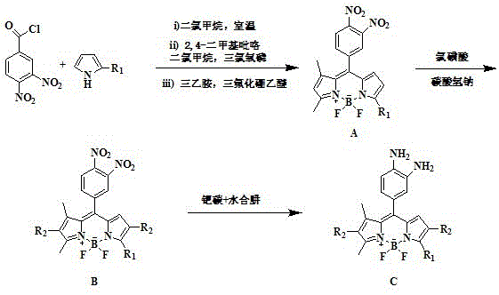 A kind of cell membrane targeted nitric oxide fluorescent probe and its preparation method and application