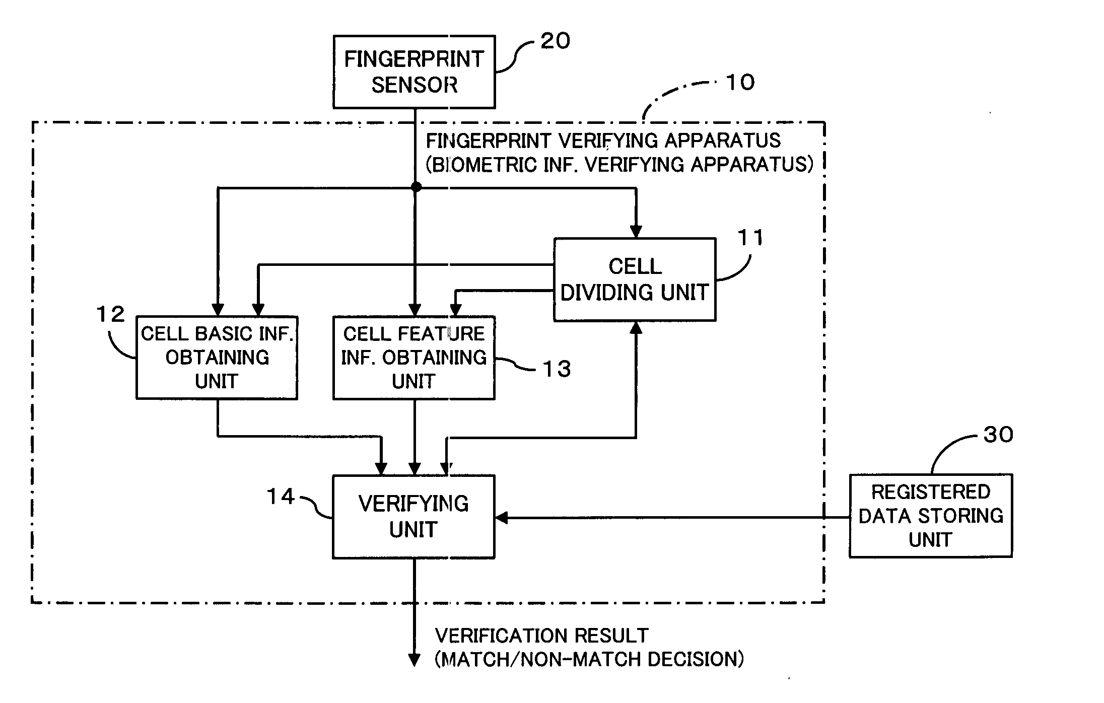 Biometric information verifying apparatus