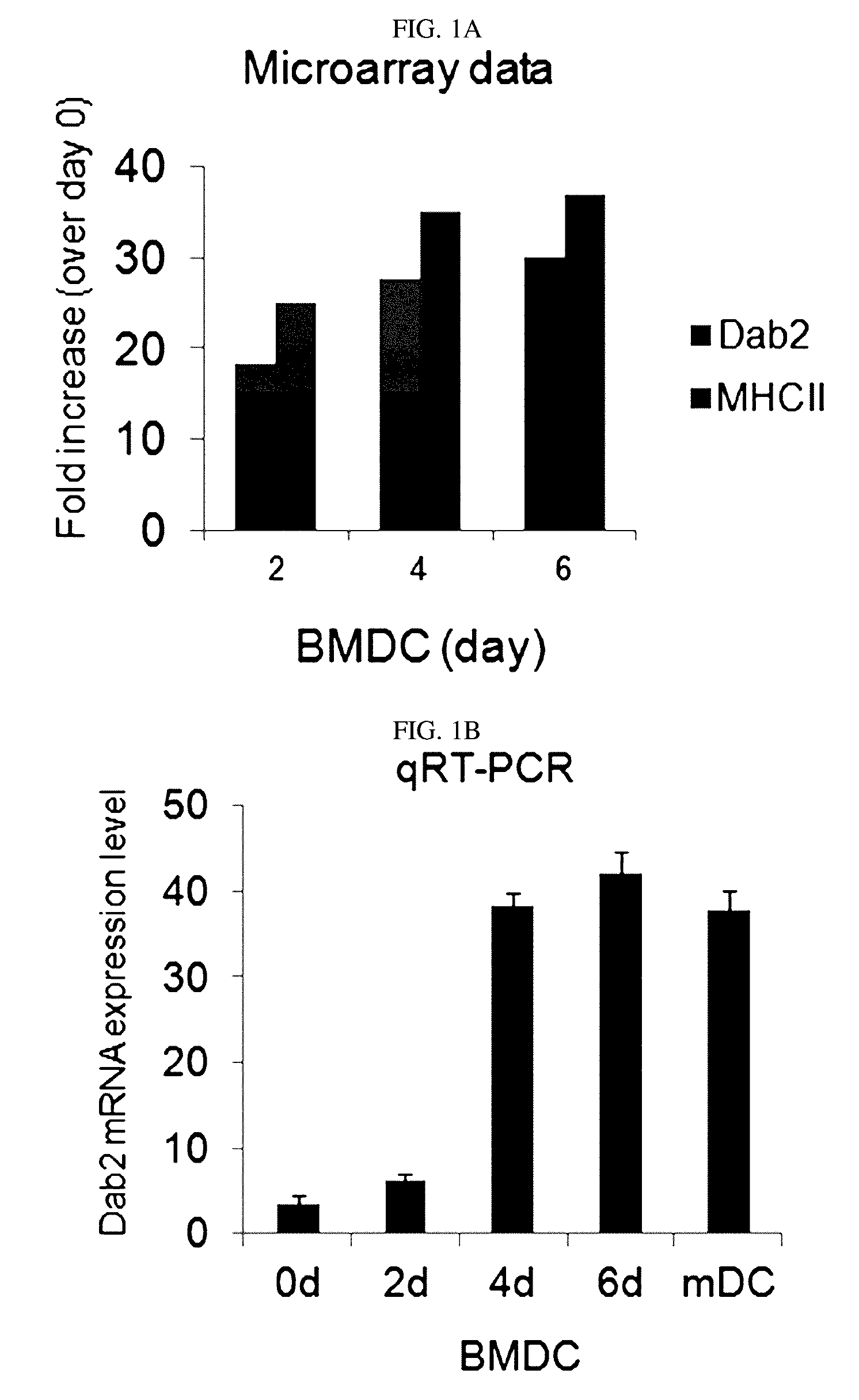 Pharmaceutical composition for preventing or treating cancers comprising dendritic cells with Dab2 gene silenced