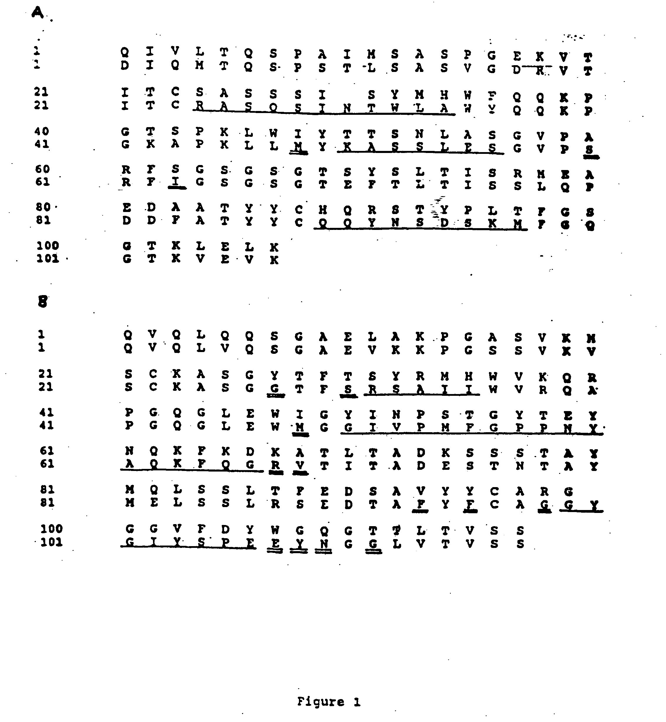 Humanized immunoglobulins