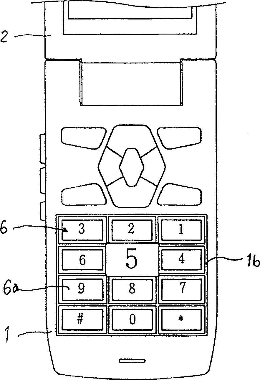 Enlargening display device for key area of portable terminal